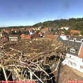 14_05-nest.jpg