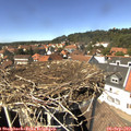 14_10-nest.jpg