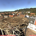 14_20-nest.jpg