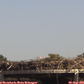 14_25-mast.jpg