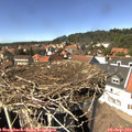 14_25-nest.jpg