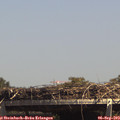 14_30-mast.jpg
