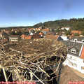 14_30-nest.jpg
