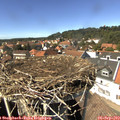 14_35-nest.jpg