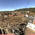14_40-nest.jpg