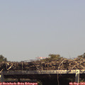 14_50-mast.jpg
