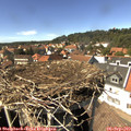 14_55-nest.jpg