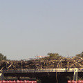 15_05-mast.jpg