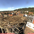 15_10-nest.jpg