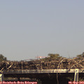 15_25-mast.jpg