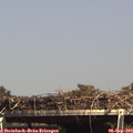 15_30-mast.jpg