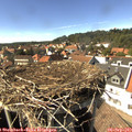 15_30-nest.jpg