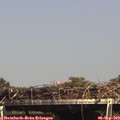 15_35-mast.jpg