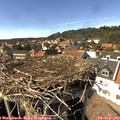 15_35-nest.jpg