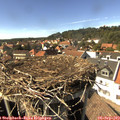 15_40-nest.jpg