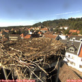 15_45-nest.jpg