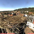 15_55-nest.jpg