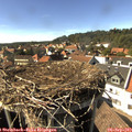 16_00-nest.jpg