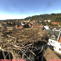 16_15-nest.jpg