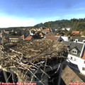 16_35-nest.jpg