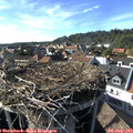 17_05-nest.jpg