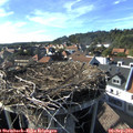 17_10-nest.jpg
