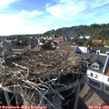17_20-nest.jpg