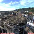 17_25-nest.jpg