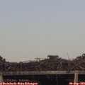 17_40-mast.jpg