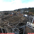 17_40-nest.jpg