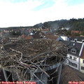 17_45-nest.jpg