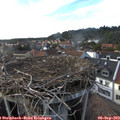 17_50-nest.jpg
