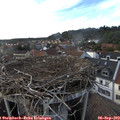 17_55-nest.jpg
