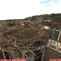 18_00-nest.jpg