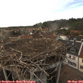 18_05-nest.jpg
