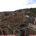 18_10-nest.jpg