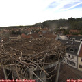18_15-nest.jpg