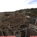 18_25-nest.jpg