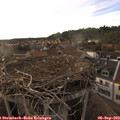 18_30-nest.jpg