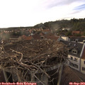 18_35-nest.jpg