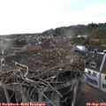 18_40-nest.jpg