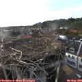 18_45-nest.jpg