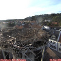 18_50-nest.jpg