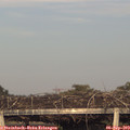 18_55-mast.jpg