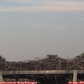 19_05-mast.jpg