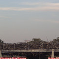 19_10-mast.jpg