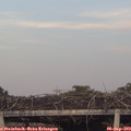 19_15-mast.jpg
