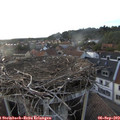 19_15-nest.jpg