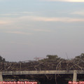 19_20-mast.jpg