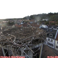 19_25-nest.jpg
